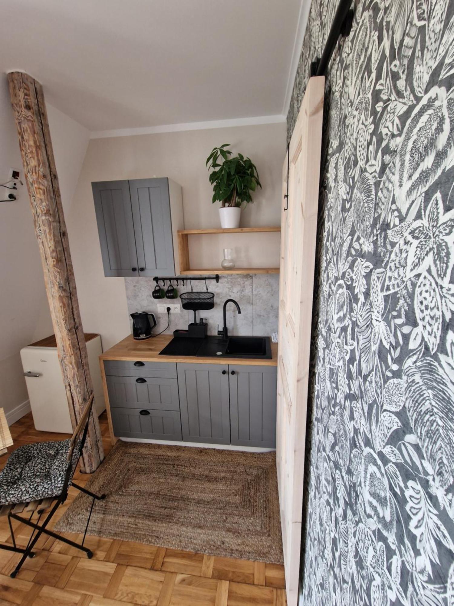 Klimatyczny Apartament Na Bydgoskim Przedmiesciu Stary Toruń エクステリア 写真